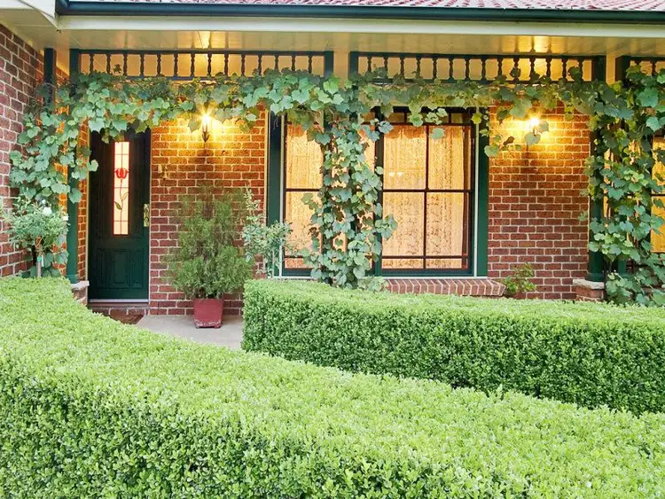 Fourth view of Homely rural property listing, 49 Willeroo Drive, Windsor Downs NSW 2756