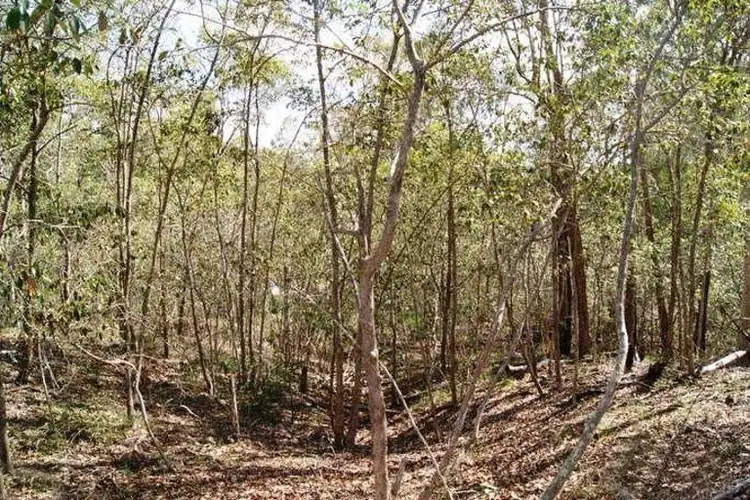 Fourth view of Homely land listing, 3 Premier Terrace, South Bingera QLD 4670