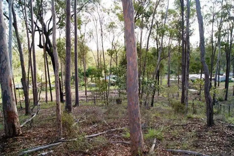 Fifth view of Homely land listing, 3 Premier Terrace, South Bingera QLD 4670
