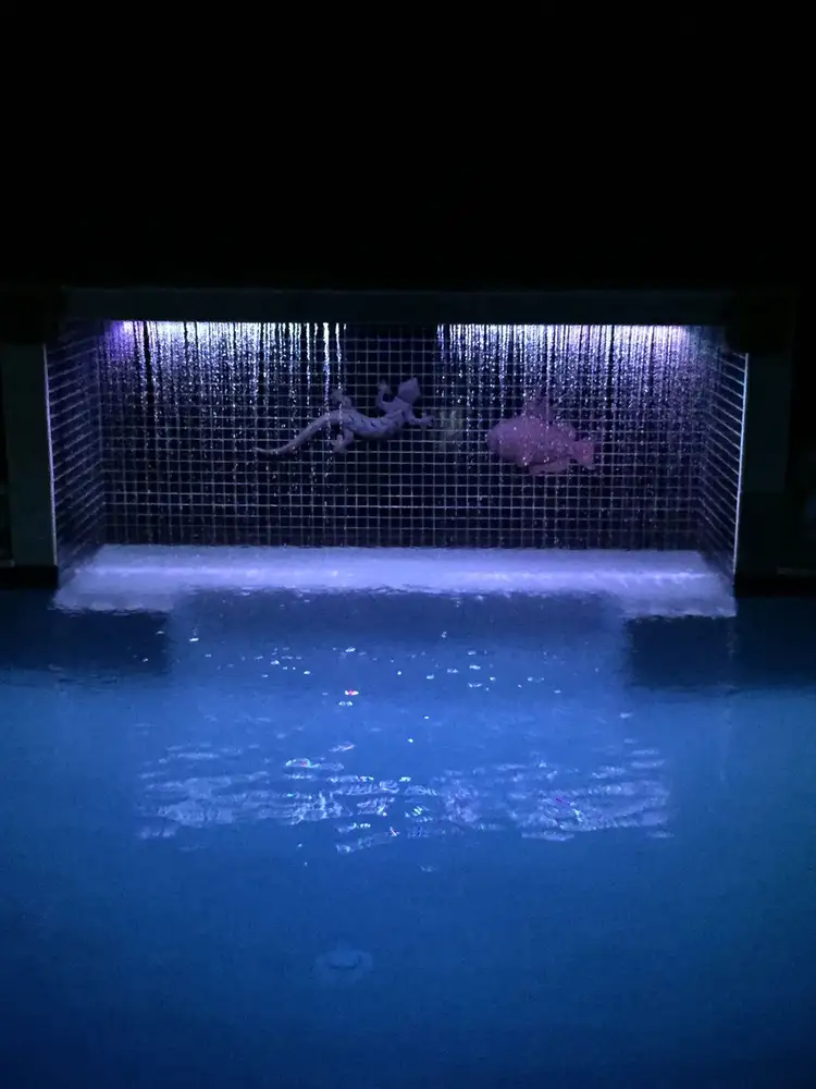 Fifth view of Homely house listing, 11 Beatty Road, Thorneside QLD 4158