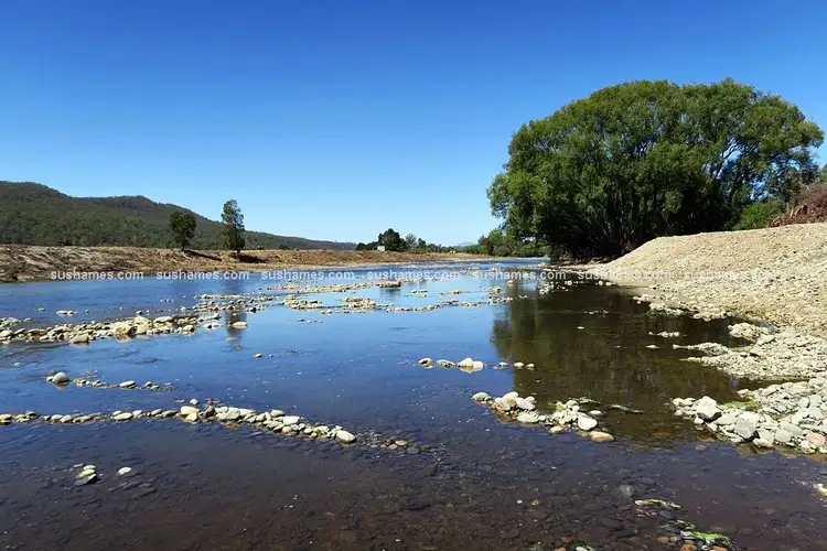 Sixth view of Homely rural property listing, 34 Lamberts Road, Merseylea TAS 7305
