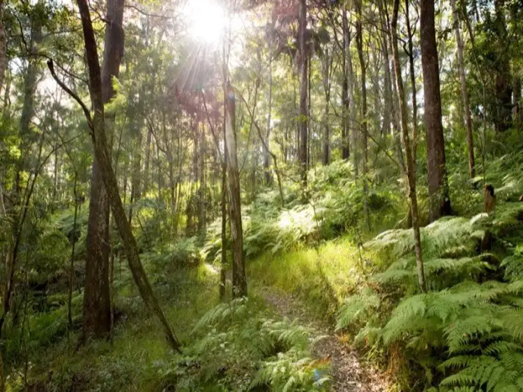 Third view of Homely land listing, Lot 51 Jarrah Way, Landsborough QLD 4550