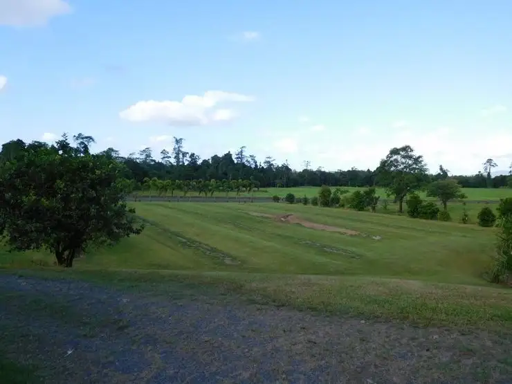 Fifth view of Homely house listing, 729 Mena Creek Road, Mena Creek QLD 4871