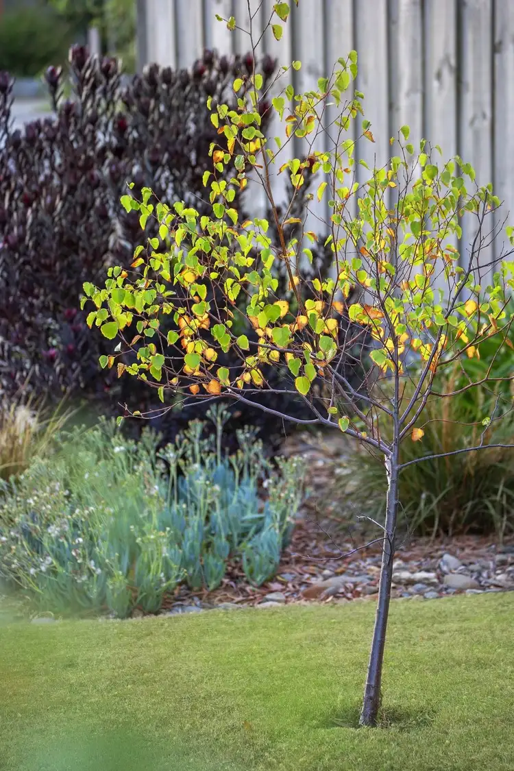 Sixth view of Homely house listing, 8-10 Dalkeith Crescent, Ocean Grove VIC 3226