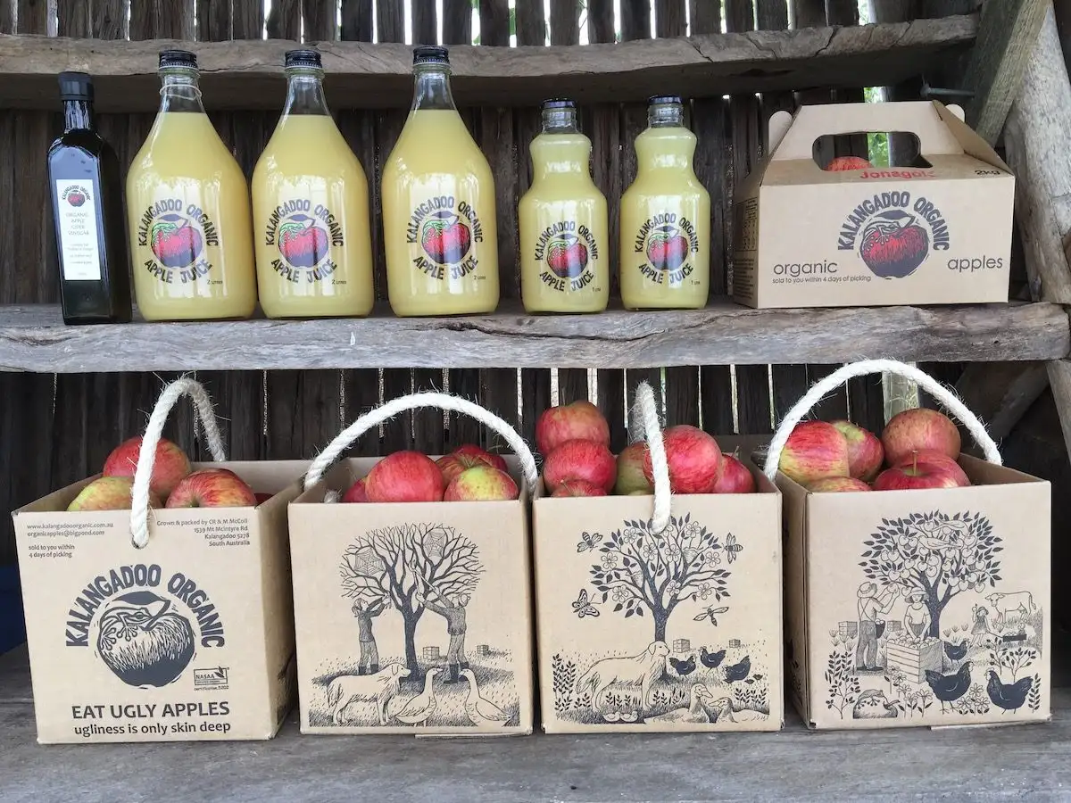 Main view of Homely rural property listing, 1539 Mt McIntyre Road, Kalangadoo SA 5278