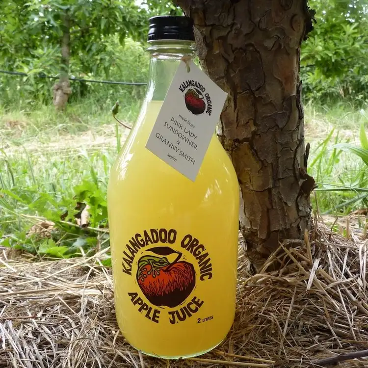 Third view of Homely rural property listing, 1539 Mt McIntyre Road, Kalangadoo SA 5278