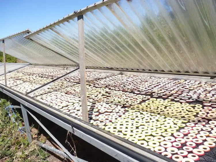 Fourth view of Homely rural property listing, 1539 Mt McIntyre Road, Kalangadoo SA 5278