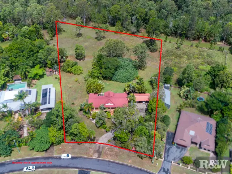 Main view of Homely rural property listing, 119 Riflebird Drive, Upper Caboolture QLD 4510