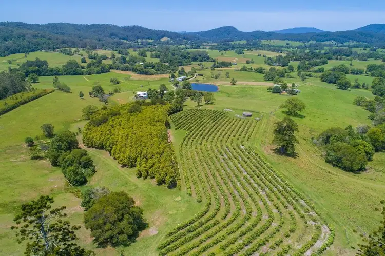 50 Gills Road, Lorne NSW 2439