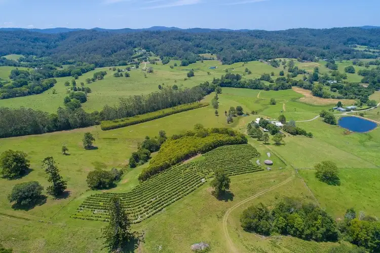 Fifth view of Homely rural property listing, 50 Gills Road, Lorne NSW 2439