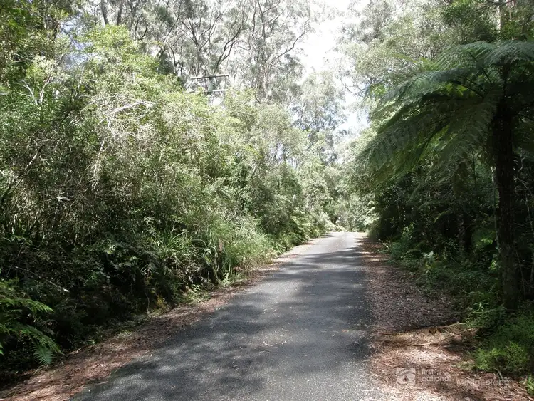 Second view of Homely land listing, 19 & 21 Banksia Road, Springbrook QLD 4213