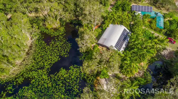 Second view of Homely house listing, 8 Sandybanks Track, Noosa North Shore QLD 4565