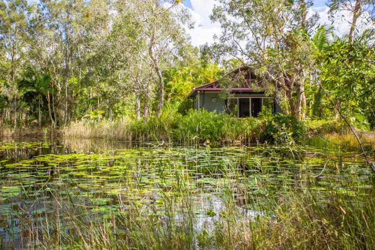 Third view of Homely house listing, 8 Sandybanks Track, Noosa North Shore QLD 4565