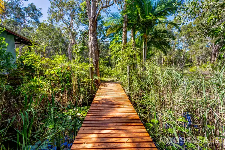 Fourth view of Homely house listing, 8 Sandybanks Track, Noosa North Shore QLD 4565
