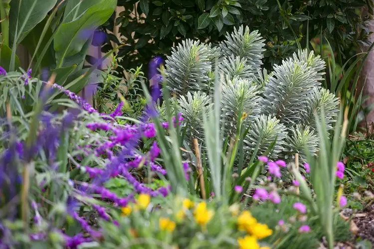 Fifth view of Homely house listing, 20 Callistemon Court, Ocean Grove VIC 3226