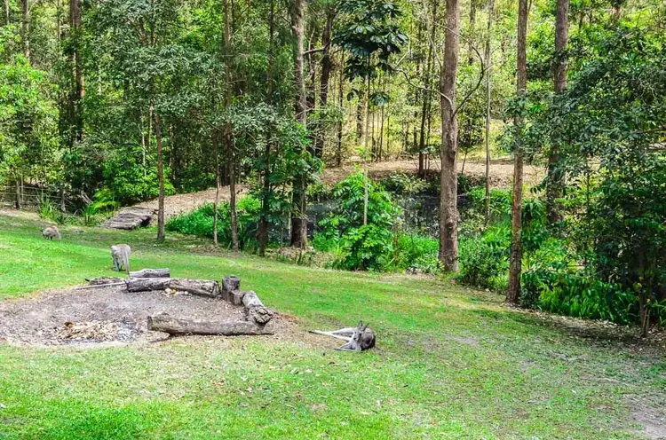 Fourth view of Homely rural property listing, 371 Ninderry Road, Ninderry QLD 4561