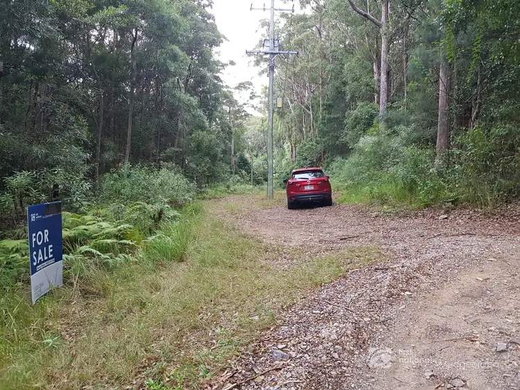 Third view of Homely land listing, 1937 Springbrook Road, Springbrook QLD 4213