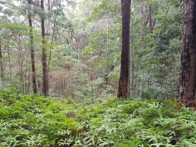 Fourth view of Homely land listing, 1937 Springbrook Road, Springbrook QLD 4213
