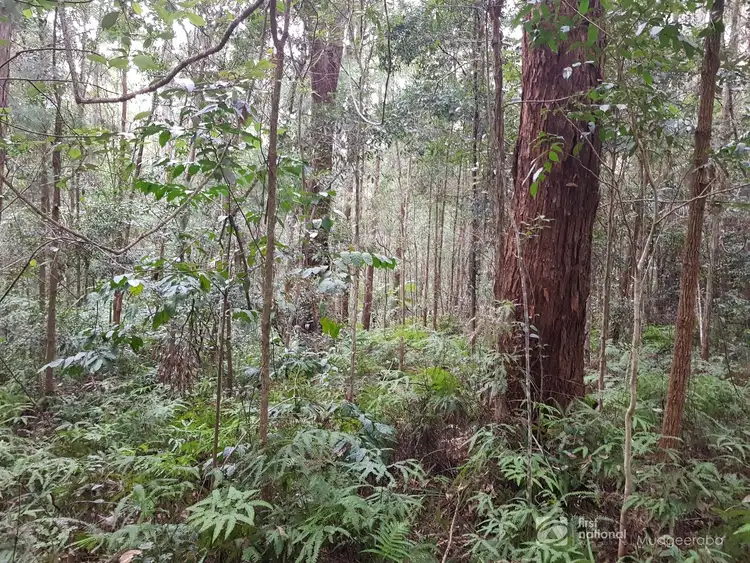 Fifth view of Homely land listing, 1937 Springbrook Road, Springbrook QLD 4213