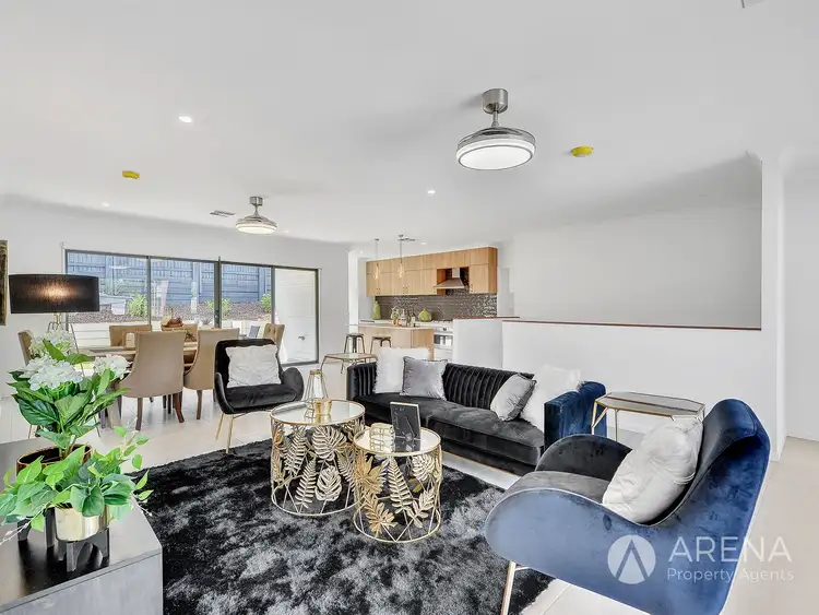 53 Latimer Street, Holland Park QLD 4121