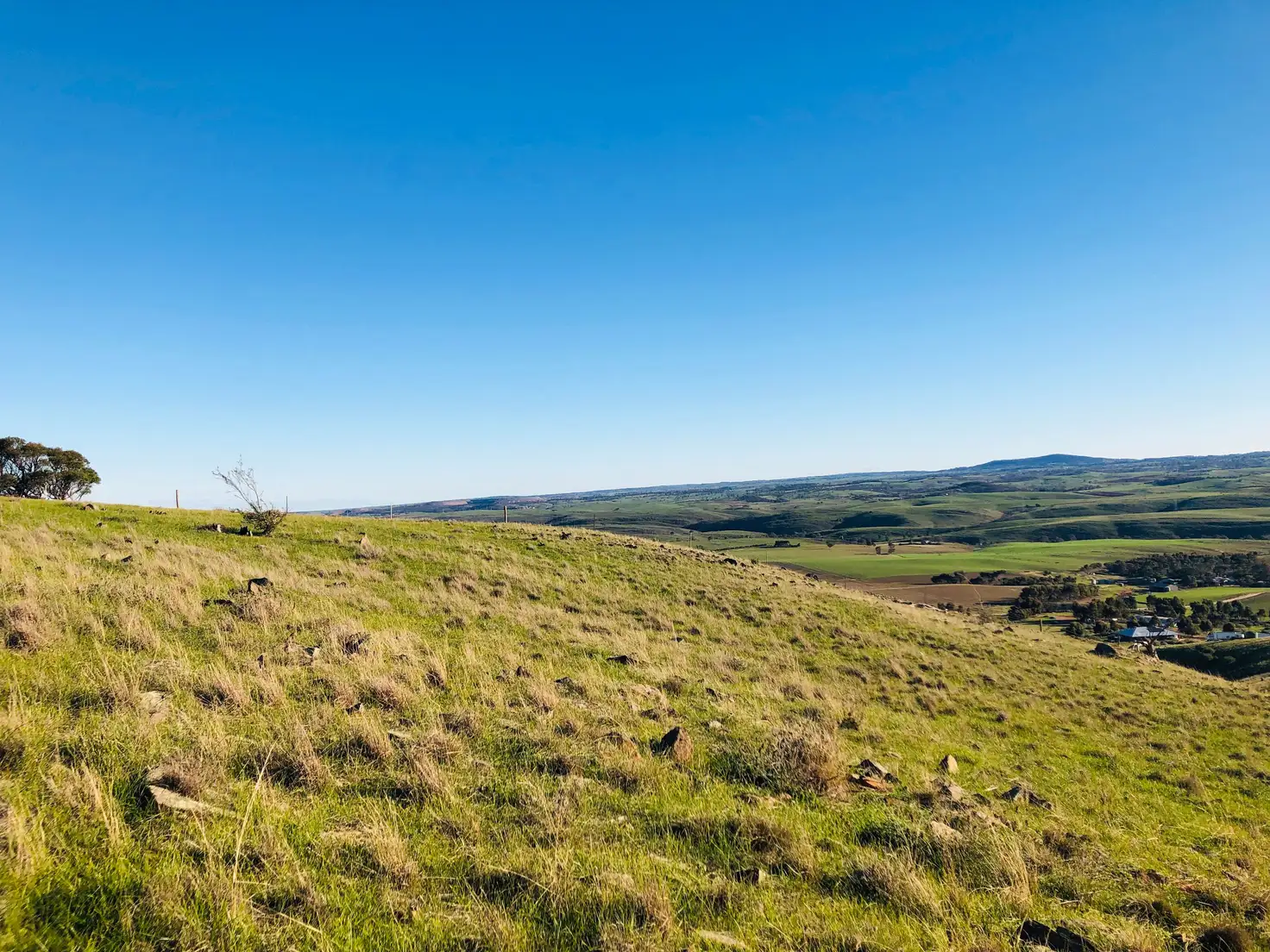 Main view of Homely rural property listing, 33 Range Road, Rockleigh SA 5254