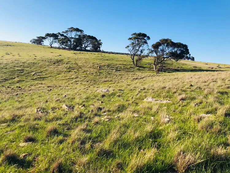 Second view of Homely rural property listing, 33 Range Road, Rockleigh SA 5254