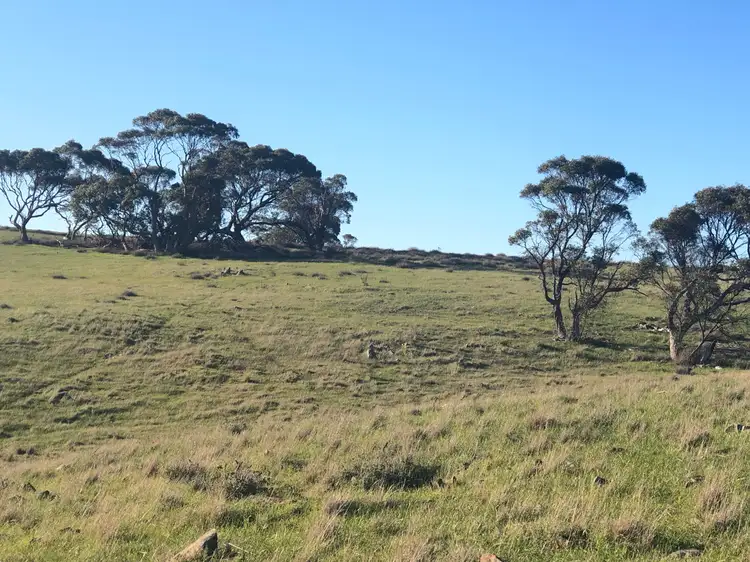 Third view of Homely rural property listing, 33 Range Road, Rockleigh SA 5254