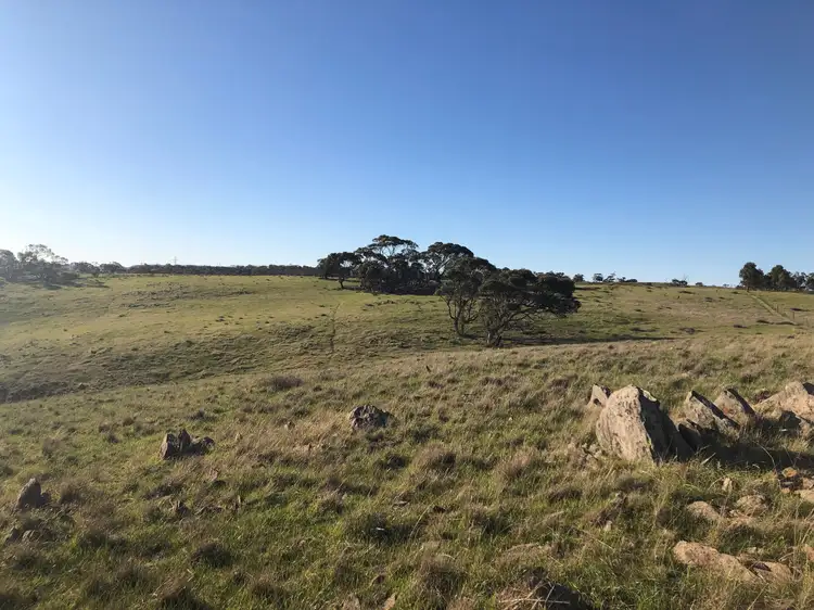 Seventh view of Homely rural property listing, 33 Range Road, Rockleigh SA 5254