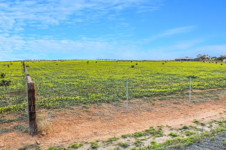 Main view of Homely land listing, 38 Barley Drive, Mannum SA 5238