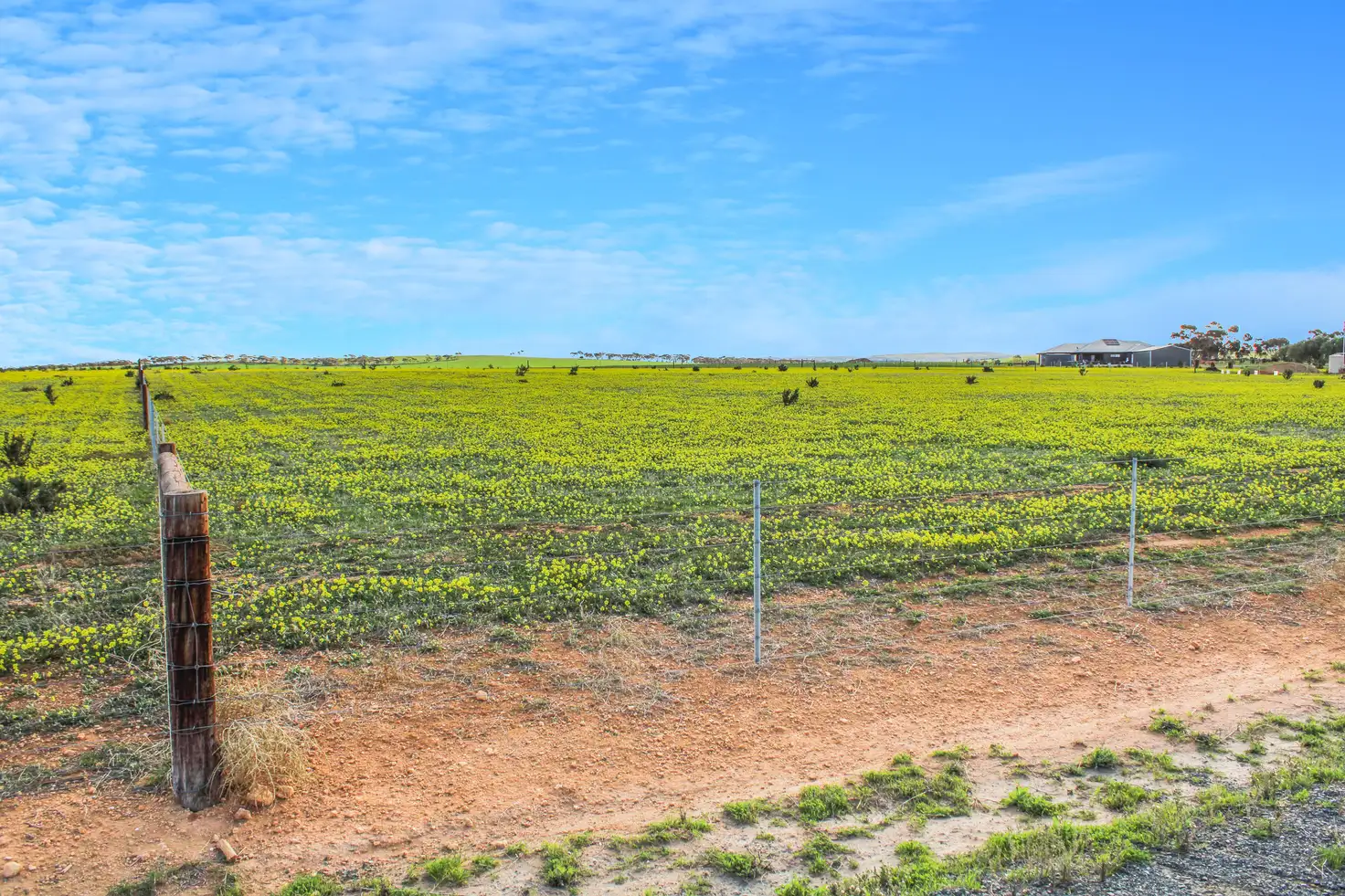 Main view of Homely land listing, 38 Barley Drive, Mannum SA 5238