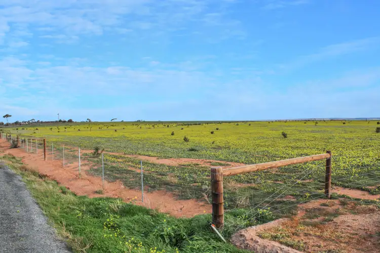 Third view of Homely land listing, 38 Barley Drive, Mannum SA 5238