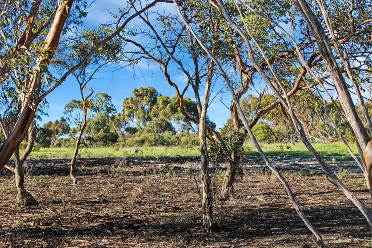 Third view of Homely land listing, 1 Frahn Road, Murray Bridge SA 5253