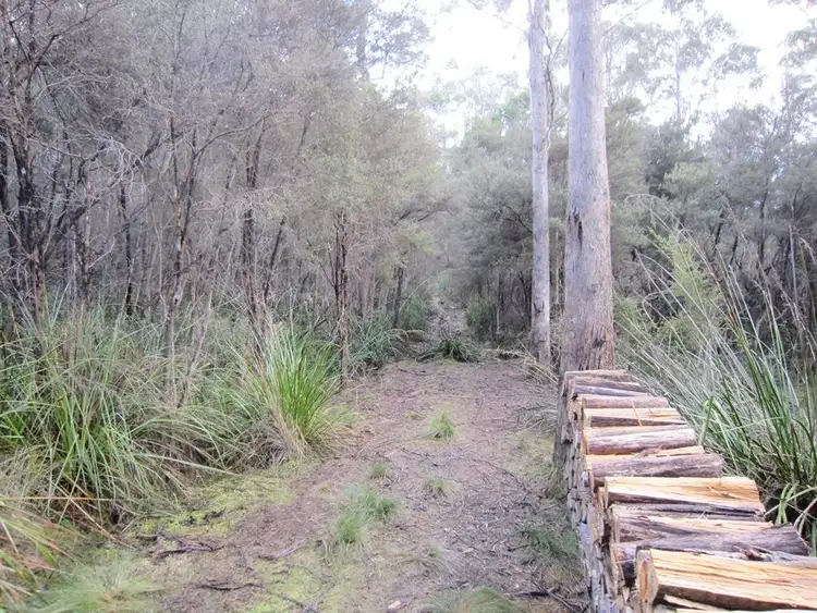 Seventh view of Homely rural property listing, 86 Dallys Road, Railton TAS 7305