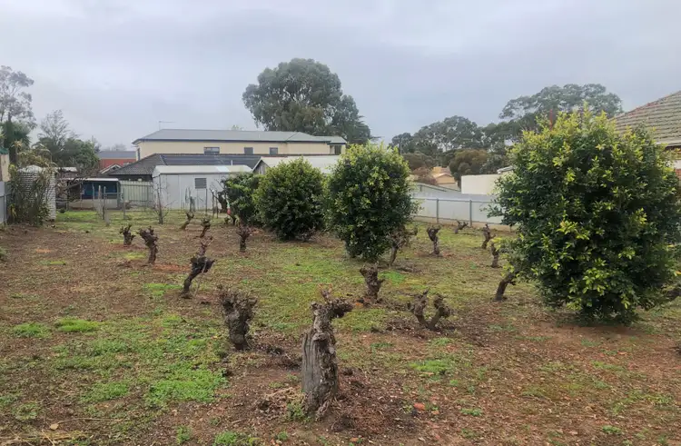 Third view of Homely house listing, 22 Moules Road, Magill SA 5072