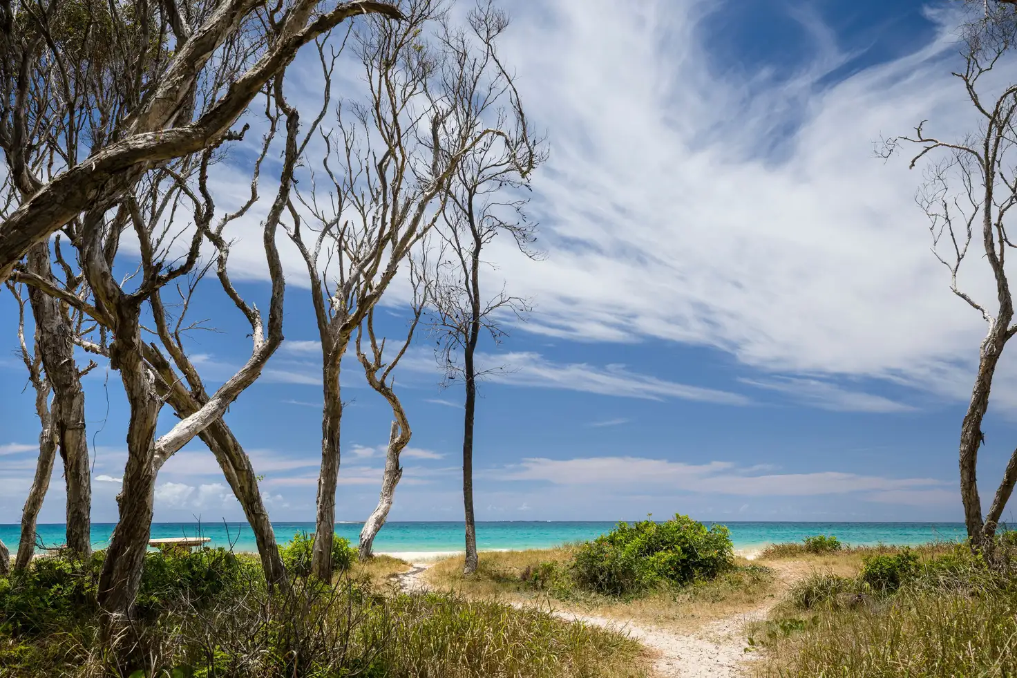 Main view of Homely house listing, 108 Dickson Way, Point Lookout QLD 4183