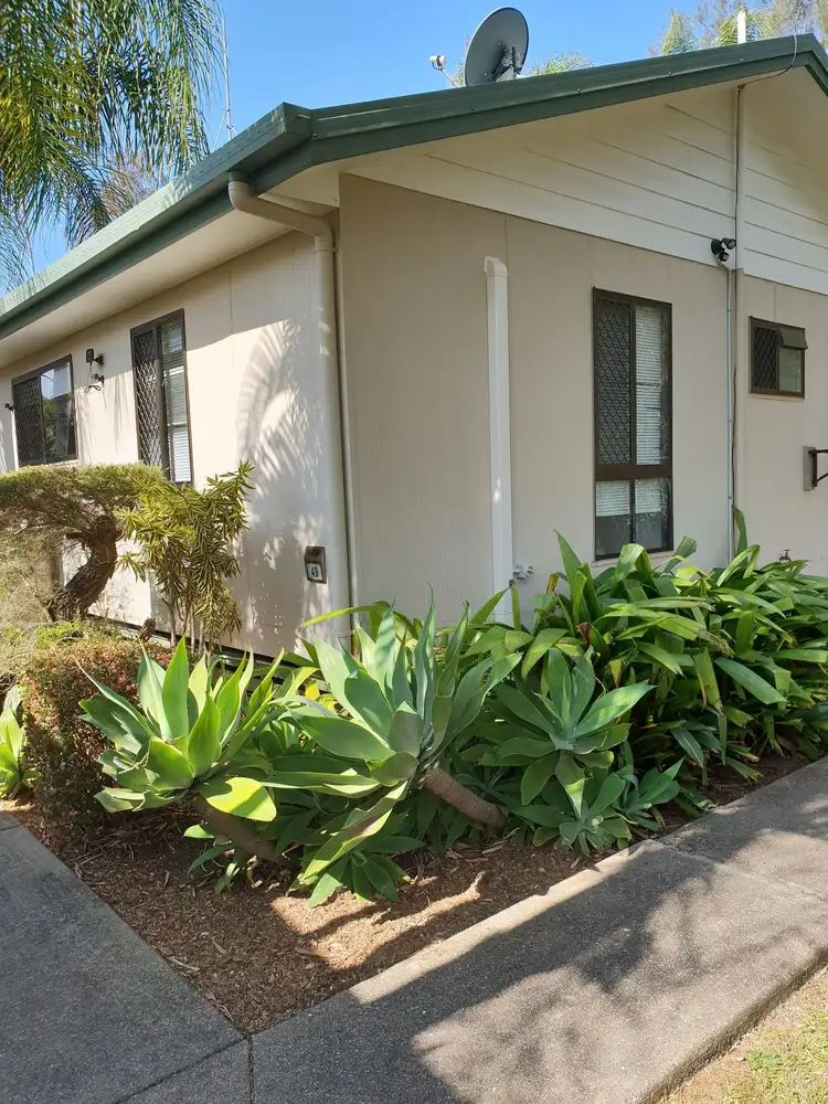 Second view of Homely villa listing, 49/38 David Low Way, Diddillibah QLD 4559