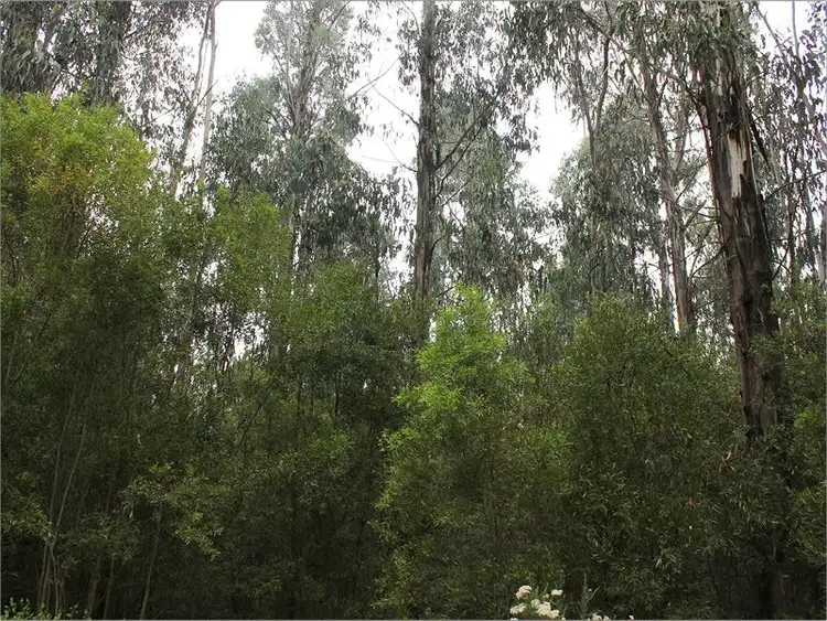 Fourth view of Homely land listing, 470 Redhill Rd, Callignee VIC 3844