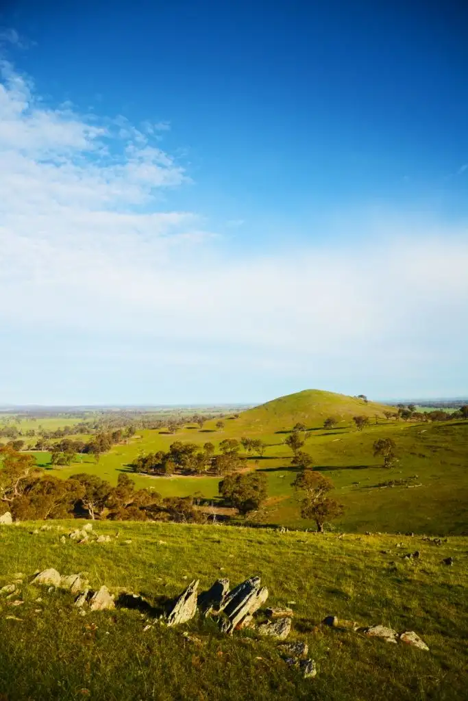Fifth view of Homely land listing, Sheltons Road, Fentons Creek VIC 3518