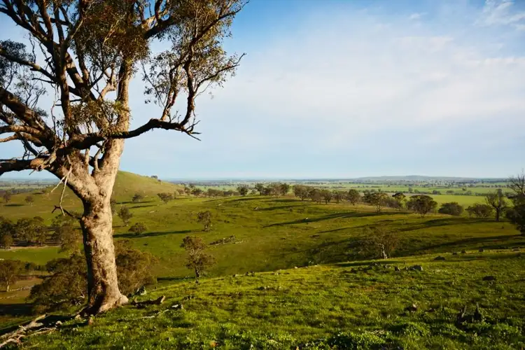 Sixth view of Homely land listing, Sheltons Road, Fentons Creek VIC 3518
