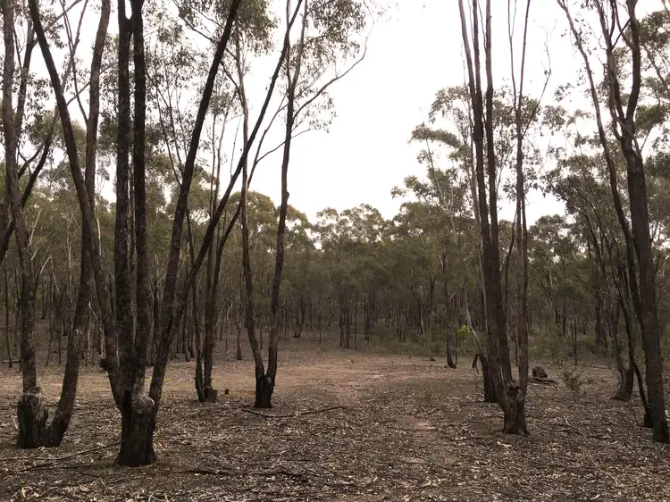 Main view of Homely rural property listing, Baynes Rd, Murchison VIC 3610