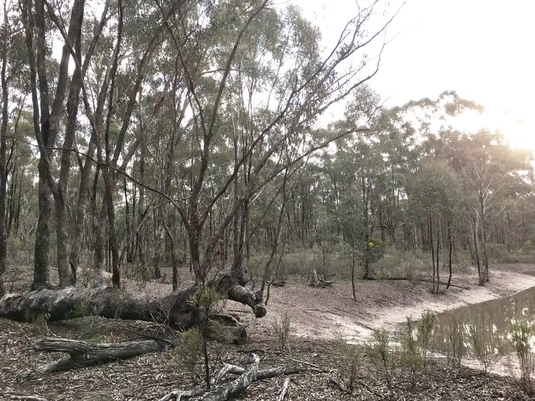 Second view of Homely rural property listing, Baynes Rd, Murchison VIC 3610