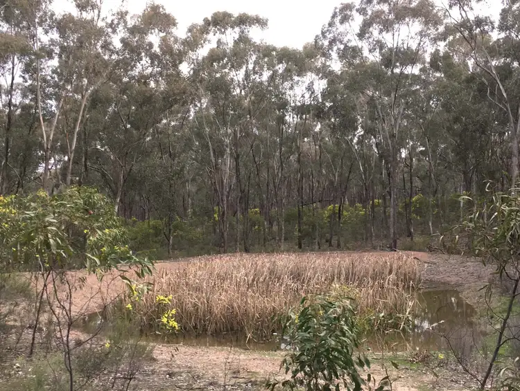 Third view of Homely rural property listing, Baynes Rd, Murchison VIC 3610