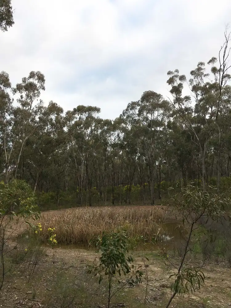 Fourth view of Homely rural property listing, Baynes Rd, Murchison VIC 3610
