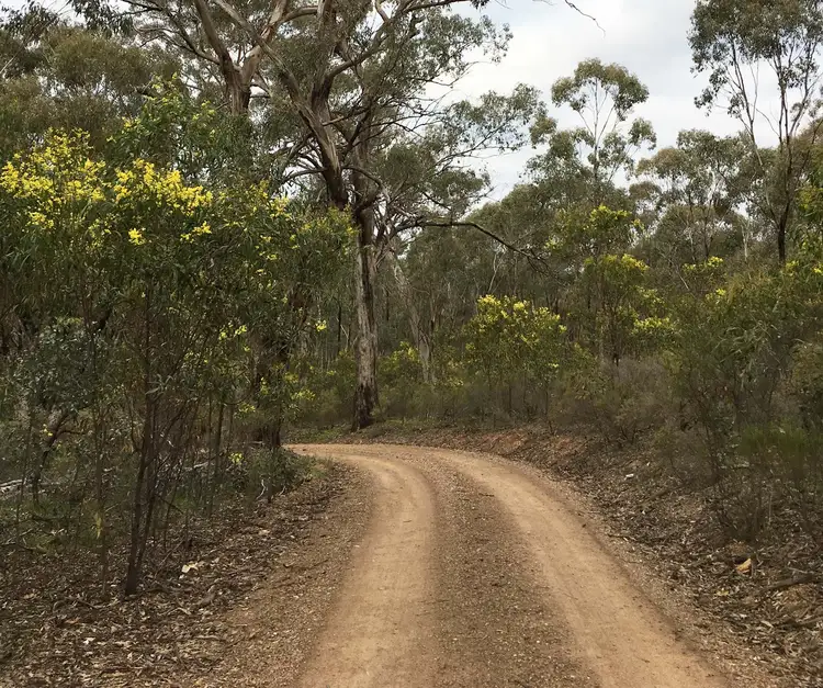 Fifth view of Homely rural property listing, Baynes Rd, Murchison VIC 3610