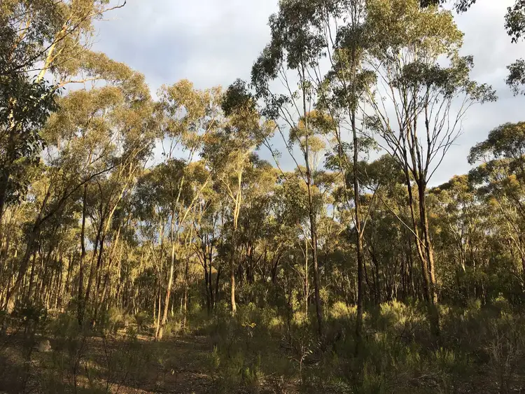 Seventh view of Homely rural property listing, Baynes Rd, Murchison VIC 3610