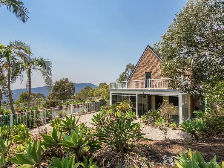 Main view of Homely rural property listing, 199 Little Nerang Road, Mudgeeraba QLD 4213