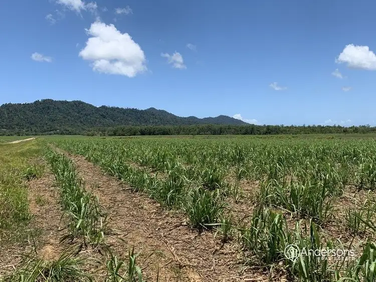 Seventh view of Homely land listing, Lot 6 Old Telegraph Road, East Feluga QLD 4854