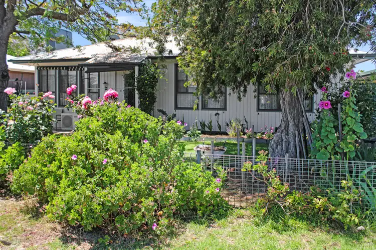 Main view of Homely house listing, 11 Tiller Street, Tailem Bend SA 5260