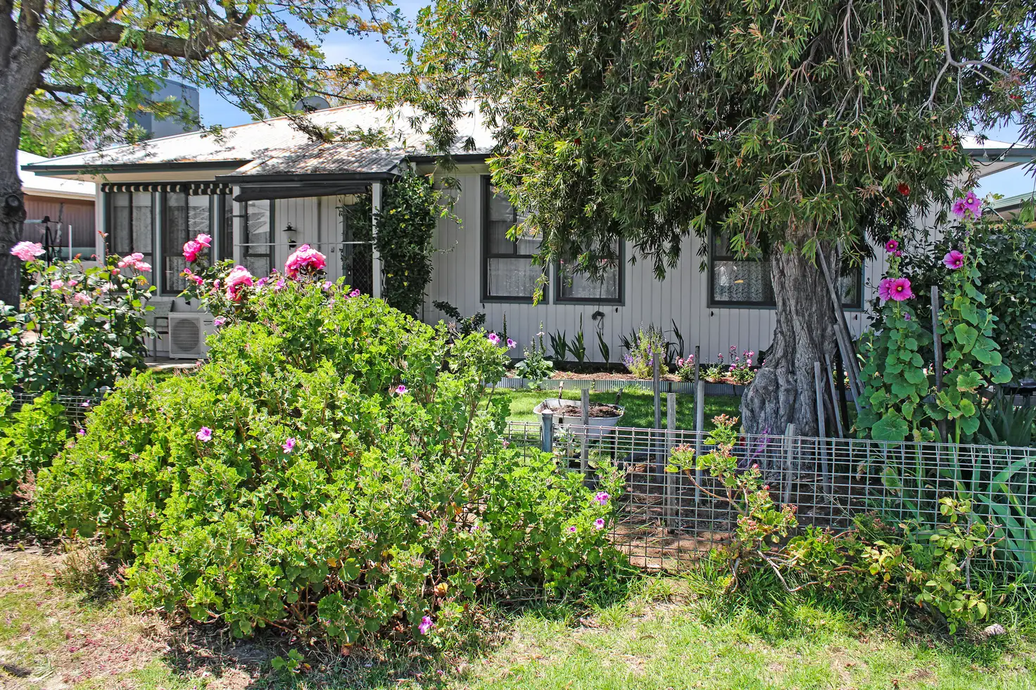 Main view of Homely house listing, 11 Tiller Street, Tailem Bend SA 5260