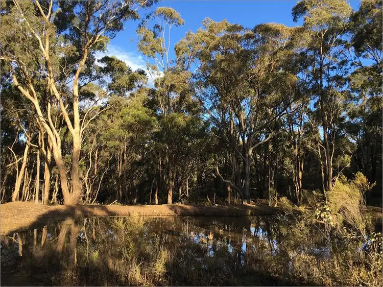 Lot 6 Back Creek Road, High Camp VIC 3764